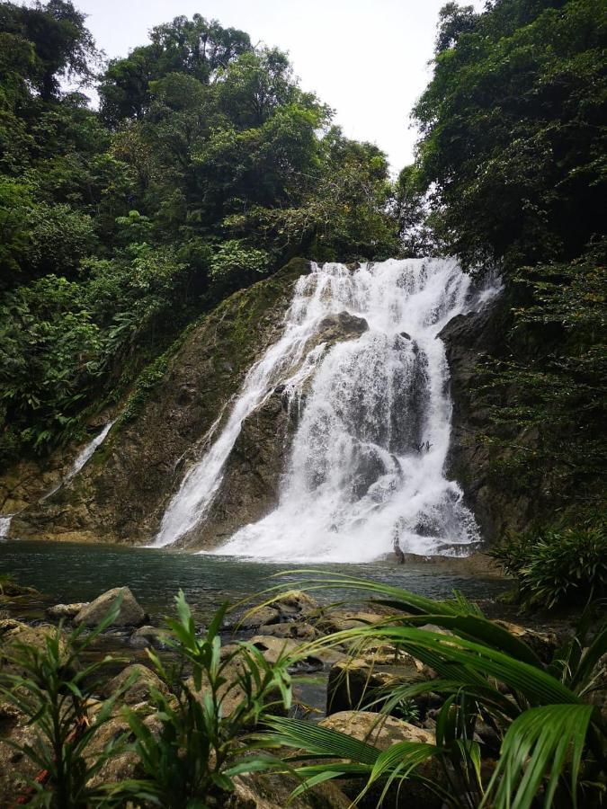 Reserva Natural Selva Mojada Nuquí Exterior foto